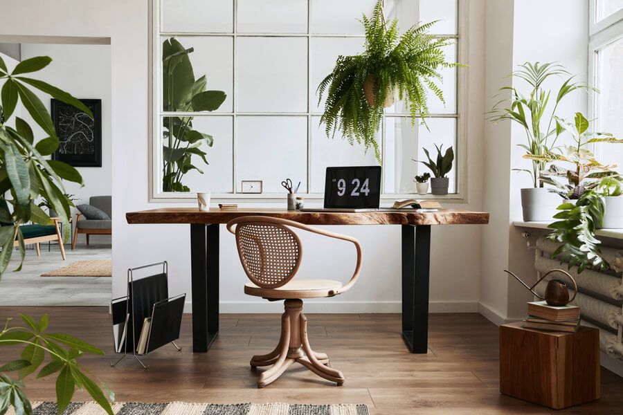 Add Some Greenery to office space